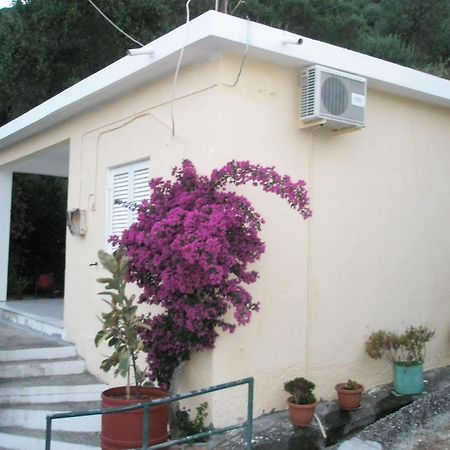 Faliraki Apartments Benitses  Exterior photo